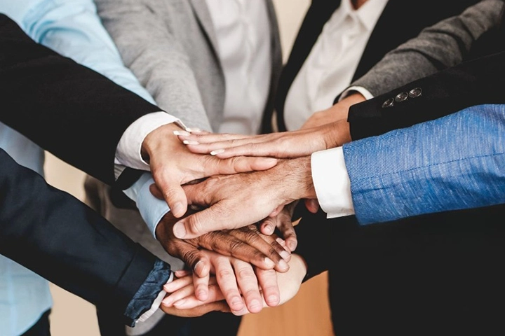 Behaviour and Culture